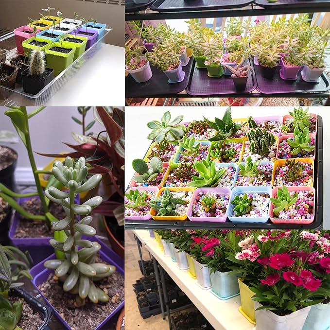 Anyumocz 42 PCS Plastic Square Plant Pots,Multi Color Nursery Pots,Small Flower Pots for Indoor Outdoor Plants,Garden,Home Balcony Decorations