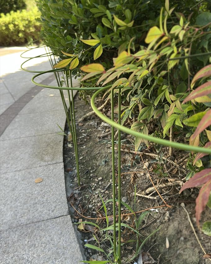 10-Pack Plant Support Stakes, Heavy Duty Steel Plant Stakes as Monstera Plant Support & Peony Cages, Metal Garden Stakes for Indoor Outdoor Plants, Snake Plant & Vine Support, 10" W x 15.8" H