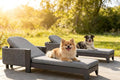 PURPLE LEAF Outdoor Daybed Sun Chaise Lounge Chairs with Cushion Patio Aluminum Adjustable Sunbathing Tanning Reclining Set of 2 Moon Basalt