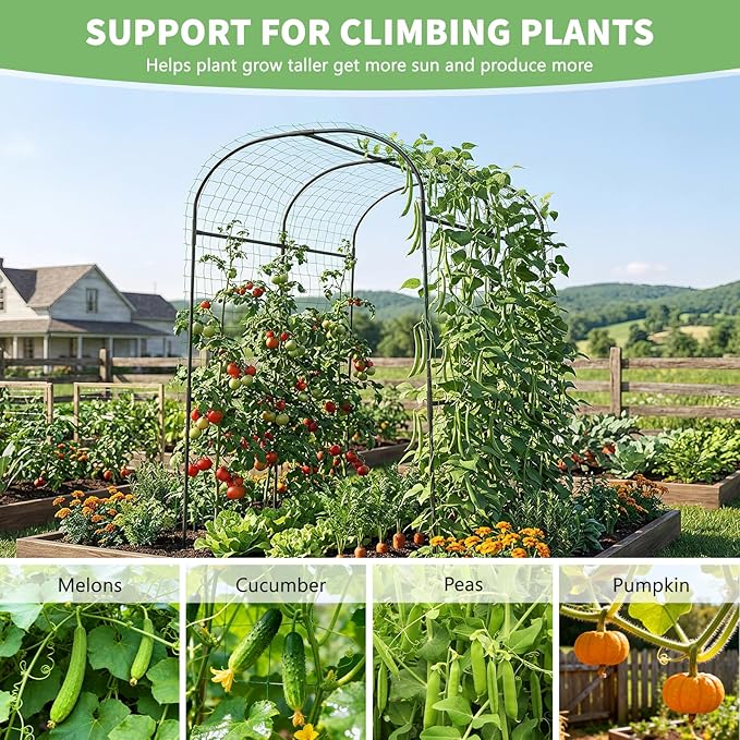 DoCred Tall Garden Arch Trellis for Climbing Plants, 83 Inch Tall Metal Plant Support Trellis Archway for Climbing Vine Vegetable/Fruit/Flower Outdoor Yard Lawn Garden Arch Tunnel Trellis