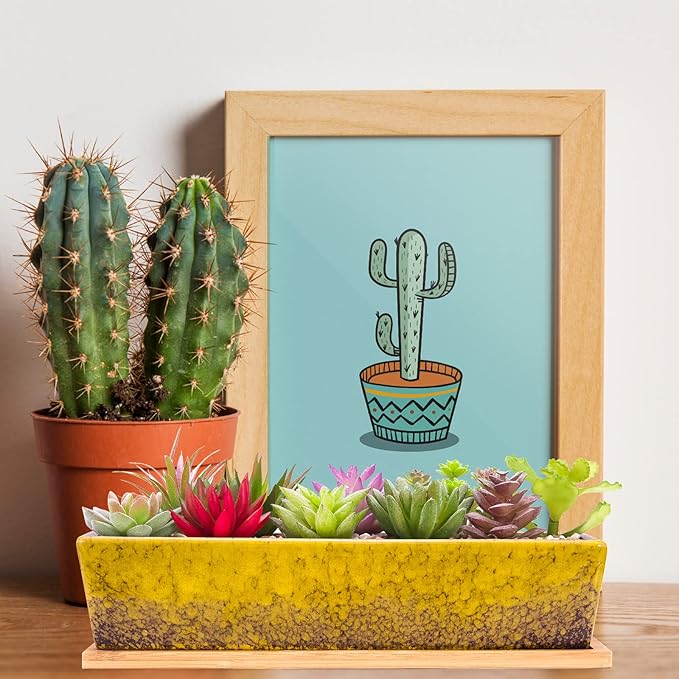 Succulent Pots - Large Succulent Planter Pots with Drainage, 12 Inch Long Rectangle Bonsai Pot with Bamboo Tray Shallow Ceramic Cactus Flower Planter Window Box for Home Garden Decor (Yellow)