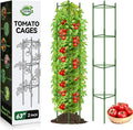 Halatool 2 Pack Tomato Cages for Garden,Up to 63in(5.2FT) Adjustable Tall Tomato Cage,Garden Stakes Tomato Trellis for Pots,Tomato Plant Support for Raised Garden Bed &Vegetables Flowers(Green)