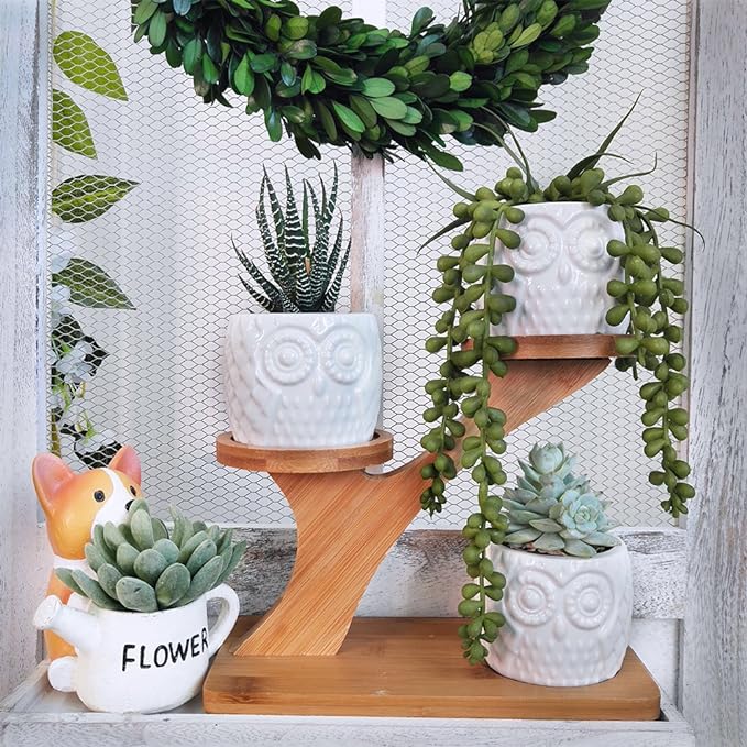 3pcs Owl Succulent Pots with 3 Tier Bamboo Saucers Stand Holder - White Modern Decorative Ceramic Flower Planter with Drainage - Home Office Desk Garden Mini Cactus Plant Pot Indoor Decoration