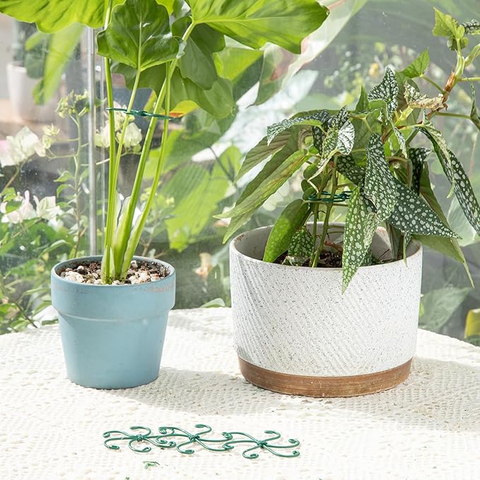 Monstera Plant Stem Support - Set of 5 Sturdy Indoor Support Sticks for Monstera & Climbing Plants - Essential Growth Stabilizers for Leaf Support - Easy-to-Use Gardening Accessories