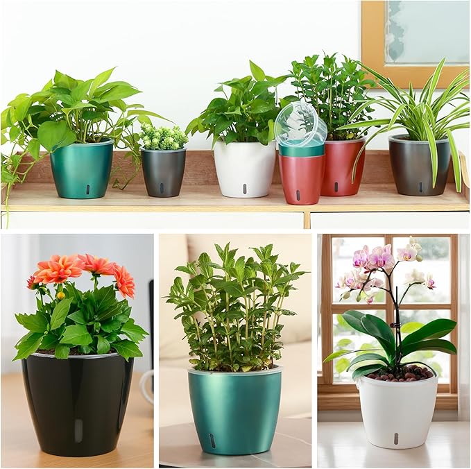 Self-Watering Pots for Indoor Plants, 8-Pack Self Watering Planter with Drainage Holes, Small African Violet Pots with Water Indicator, 5 Packs 5''/3 Pack 6.7'' Orchid Pot, White