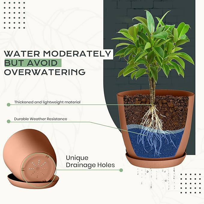 Utopia Home - Plant Pots Indoor with Drainage - 7/6.6/6/5.3/4.8 Inches Home Decor Flower Pots - Plastic Planters for Indoor Plants, Cactus, Succulents Pot (Terracotta, Pack of 10)