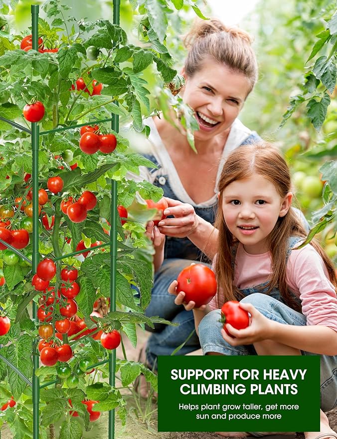 Tomato Cage for Garden,6 Pack Tomato Trellis for Raised Garden Bed Height Adjustable Up to 51.2inch Tomato Plant Support Stakes for Climbing Plants Vegetables Fruits Flowers（Extra Bold）