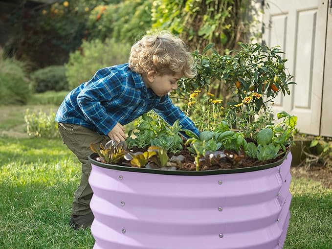 Plant & Plot Galvanized Raised Garden Beds Outdoor // 4×2×1 ft (2-Pack) Planter Raised Beds for Gardening, Vegetables, Flowers (Lavender) // Large Metal Garden Box
