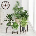 5 Pack Heavy Duty Rustproof Iron Corner Flower Pot Stand Holder,Round Supports Display Rack Tiered Plant Stand, Pot Rack Shelf Indoor Multiple Plants