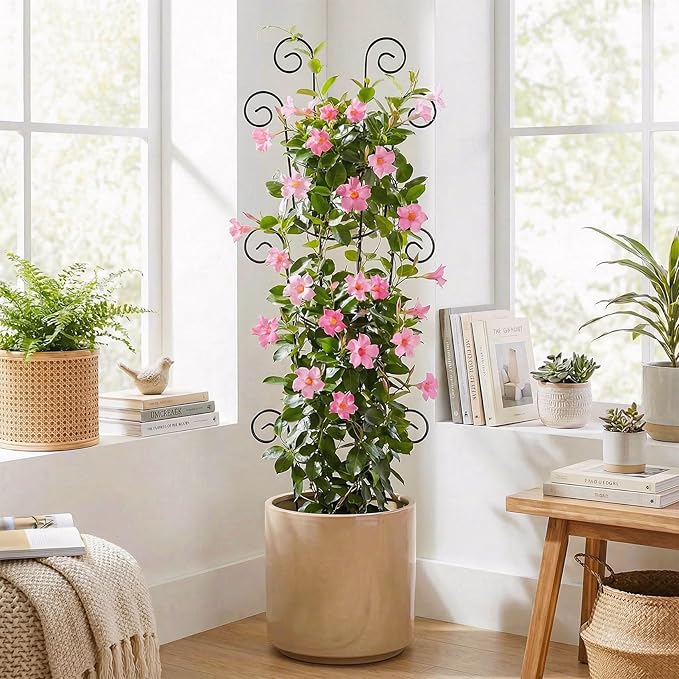 4 Pack 43 Inch Metal Plant Trellis for Climbing Plants - Rustproof Garden Trellis for Large Potted Houseplants, Sturdy Plant Support Indoor Outdoor for Monstera & Vines, Home Decor