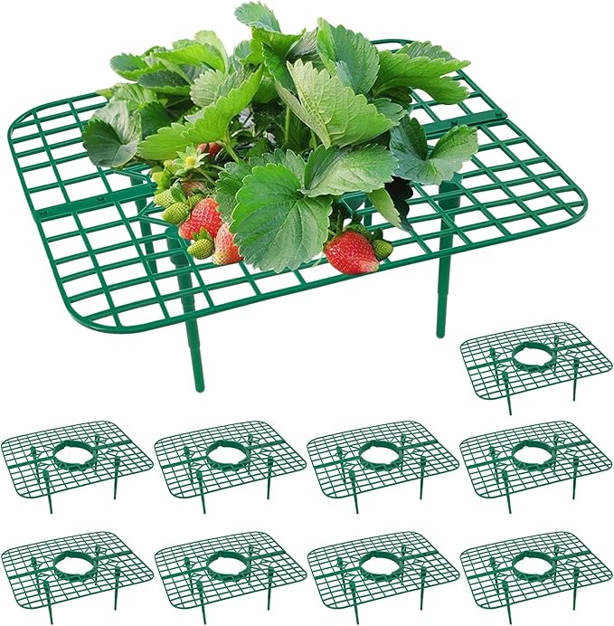 10 Pack Strawberry Plant Support, Strawberry Planting Stand, Keeping Strawberry Plants Clean, Strawberry Growing Racks, Strawberry Growing Frame