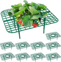 10 Pack Strawberry Plant Support, Strawberry Planting Stand, Keeping Strawberry Plants Clean, Strawberry Growing Racks, Strawberry Growing Frame