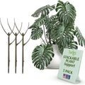 Stackable Plant Support Stakes, Indoor & Outdoor Houseplant Stem Support, Garden Accessories, Durable Trellis Alternative for Climbing & Potted Plants - Moonstone, 3 Pack, 17" L