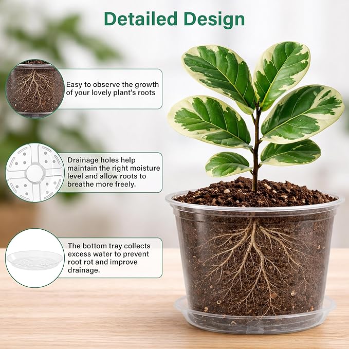 8 Packs 8 Inch Reinforced Large Clear Nursery Pots with Sacuers, Transparent Plastic Plant Pot Seedling Planter with Drainage Holes for Vegetable Propagation, Root Cutting, Seed Starting