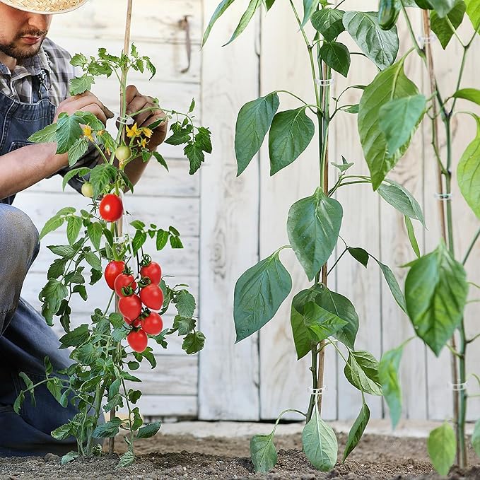 250 Pcs Tomato Clips, Plant Support Clips and J Tomato Hooks, Plastic Trellis Clip Vegetable Cages Vine Garden Clip for Tomatoes Cucumber Grape Melon, Makes Plants Grow Upright or Prevent Falling Off