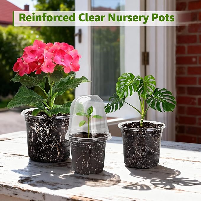 MIXC Clear Nursery Pots with Humidity Domes, 5/4/3.5 Inch Reinforced Transparent Plastic Pots for Planting with Drainage Holes, for Tomato Seedlings, Cactus, and Herbs, 30 Pack