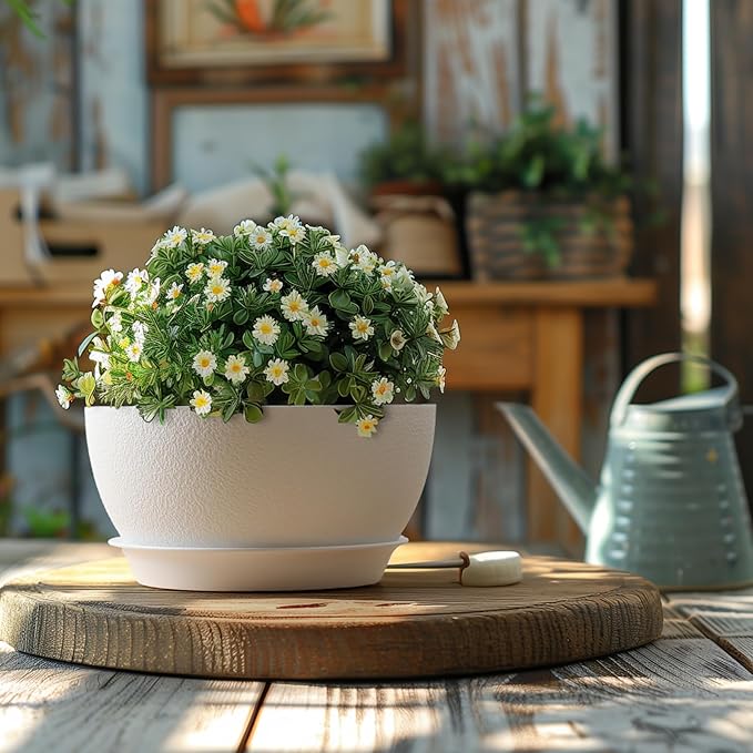 T4U 8 Inch Plant Pots, Plastic Planters with Drainage Holes, Plugs, and Saucers, Ideal for Indoor and Outdoor Use - 2 Pack, White