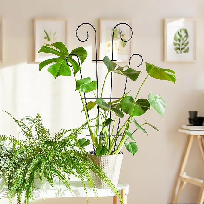 4 Pack 23'' Indoor Plant Trellis for Potted Plants Climbing, Outdoor Metal Garden Trellis Houseplants Flowers Vine Ivy, Wave Shape, Black