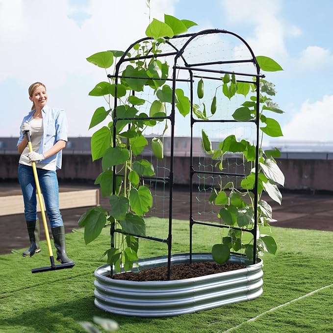 Lalahoni Garden Arch Trellis for Climbing Plants Outdoor, 80 Inch Tall Grape Metal Vine Plants Support Flower Vegetable Tomato, Cucumber Trellis for Raised Bed, Black