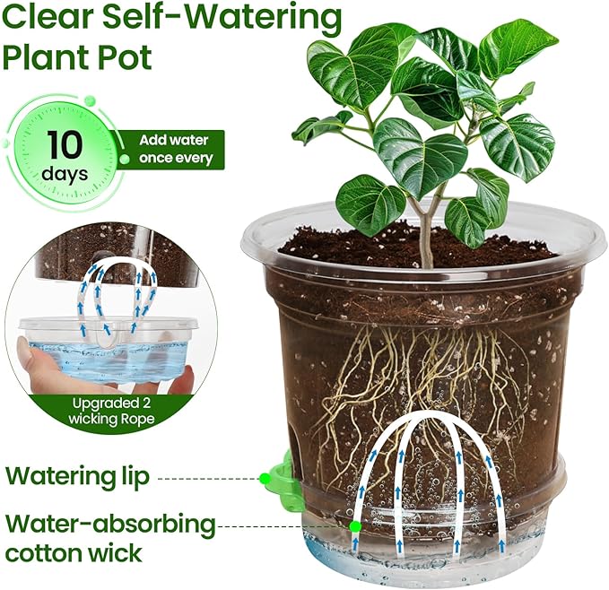 MIXC 12 Packs 6.5 Inch Self Watering Pots for Indoor Plants - Clear Nursery Plant Pots with Drainage, Deep Visible Reservoir - Flower Planter Outdoor with Wicking Rope