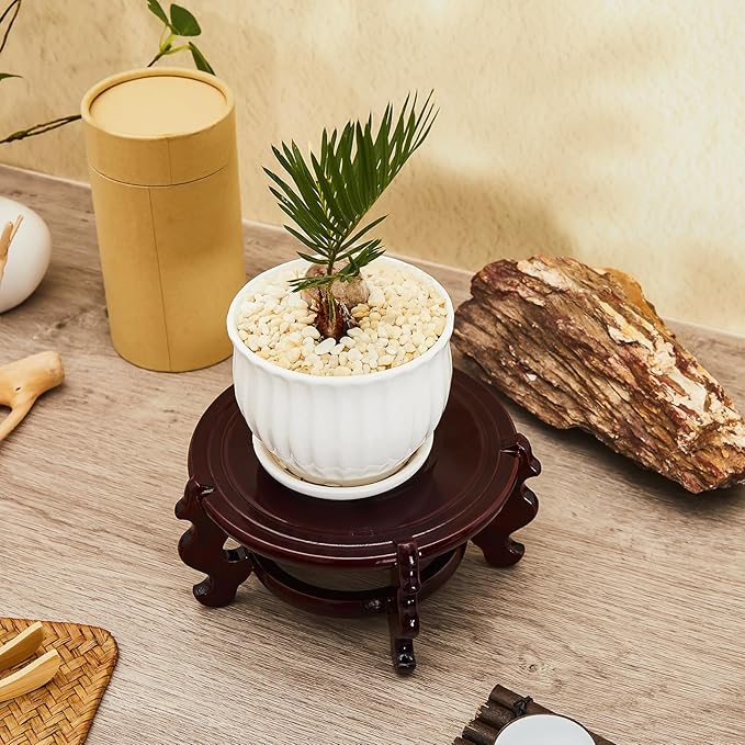 Geetery 2 Pcs 4 to 12 in Wooden Plant Stands Indoor Chinese Oriental Plant Stand for Vase Fishbowl Flower Pot Lamp Redwood Base Vintage Display Rack Decor(6 Inch)