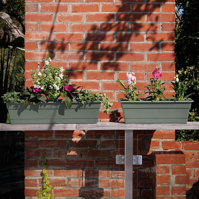 Bloem Dura Cotta 30" Basil Resin Rectangle Window Box Planter with Saucer Tray for Indoor and Outdoor Gardening