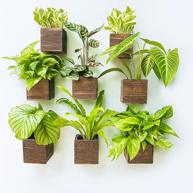 LaLaGreen Wood Planter Boxes for Plants (4x4 Inch, 8 Pack) Small Square Wall Mounted Planters for Indoor Plant, Herb Wooden Box Hanging Flower Pot Plant Holder Outdoor Fence Vertical Garden Home Decor