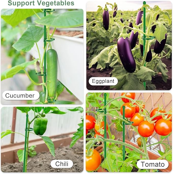 Plant Support Stakes for Indoor SupKing Orchid Sticks with Clips Garden Stake Extended to 2/3/4ft for Outdoor Potted Tomato Rose Vegetables House Palnts Comes with 20 Plants Ties(15 inch 10Pcs)
