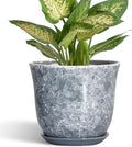 Ceramic Planter - 6 Inch Plant Pot for Indoor Outdoor, Small Plant Pots with Drainage Hole and Saucer, Modern Round Planter, Succulent Orchid Pot, Home Room Decor, Birthday Gifts, Grey