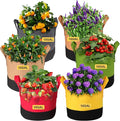 Grow Bags 10 Gallon,6 Pack Fabric Plant Pots with Handles Planter Bag for Outdoor Garden Planting Vegetables Flowers Fruit