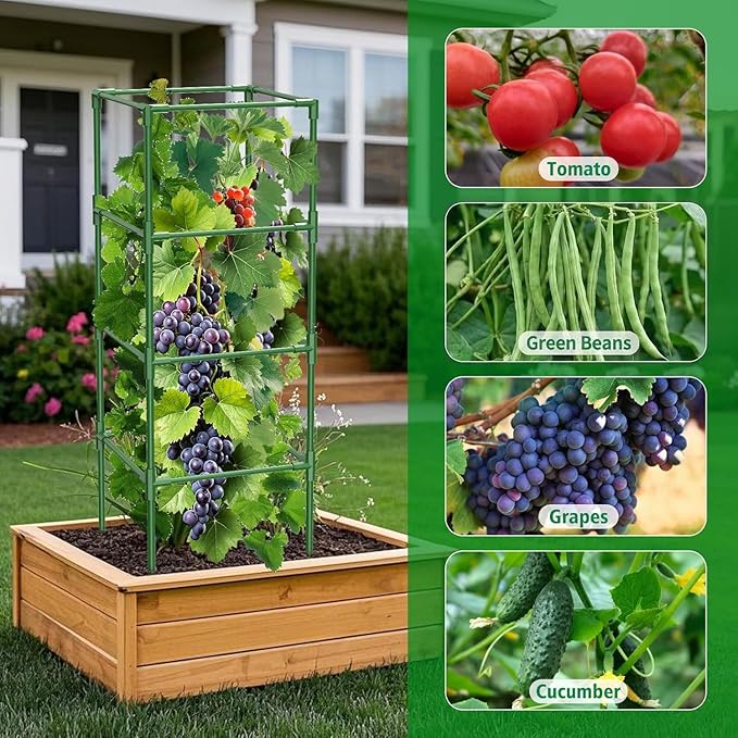 3 Pack Square Tomato Cages for Garden, 42 Inches Heavy Duty Metal Tomatoes Cages Plant Support Stakes Trellis with Clips for Climbing Plants Vegetables Flowers Fruits