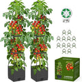2 Pack Raised Garden Bed Tomato Planter with Trellis, 57" Tomato Cage Plant Support Planters, Self-Watering Planter for Tomatoes Climbing Plants Vegetable Vine Flowers Outdoor & Indoor