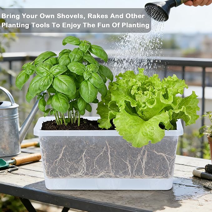 Window Box Planter 6 Packs, 13.8 Inches Rectangle Flower Pots with Drainage Holes & Trays, Pots for Vegetables, Herbs, Flowers, Garden Windowsill Balcony (Translucent White)