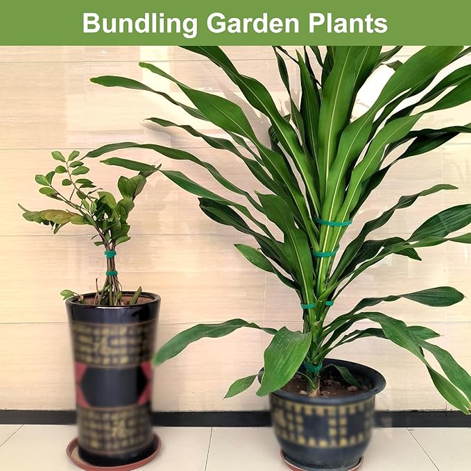 SumDirect Plant Tape 150 ft Plant Ties for Climbing Plants Garden Twist Ties Plants Adjustable Reusable Hook and Loop Tape for Plants, Flowers, Vines and Tree (150 ft x 1/2 in)