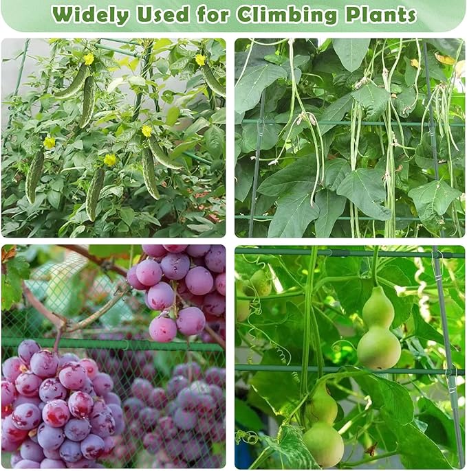 Cucumber Trellis for Raised Beds, 63 x 45 Inch U-Shaped Garden Trellis for Climbing Plants Outdoors with Climbing Net, Metal Detachable Arch Plant Support Vegetable Trellis