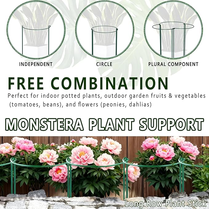 6 Pack Threaded Lock Metal Plant Support Stakes - 25" H Tall Peony Cage, Reusable Detachable Garden Ring for Hydrangea/Rose Bush/Potted Flowers, Indoor Outdoor Heavy Duty (10" W)