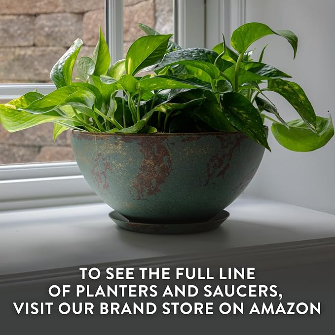 Classic Home and Garden Rosie Modern Planter w/Drainage - Contemporary Planter Bowls - Shallow Round Vases for Small Plants - Versatile Indoor & Outdoor Pots (10” Earth)