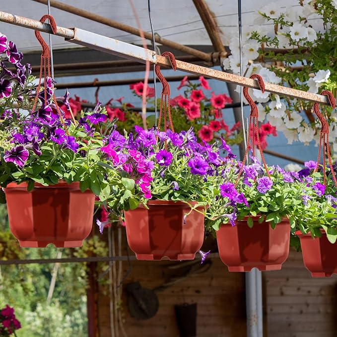 Roshtia 50 Pcs 5.9 inch Plastic Hanging Plant Pots with Hooks Flower Pots Baskets Outdoor Hanging Nursery Planter Holder for Home Garden Balcony Porch(Brown, 5.9 inch)