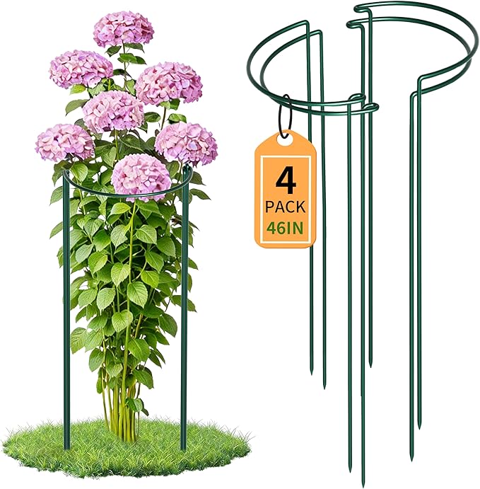 Garden Plant Support Cagess,High Heavy Duty Interlinked Half Round Peony Support Ring Cage for Indoor Outdoor Plants,Plant Supports for Peony,Tomato,Hydrangea,Rose (4, 16" Dx46 H)