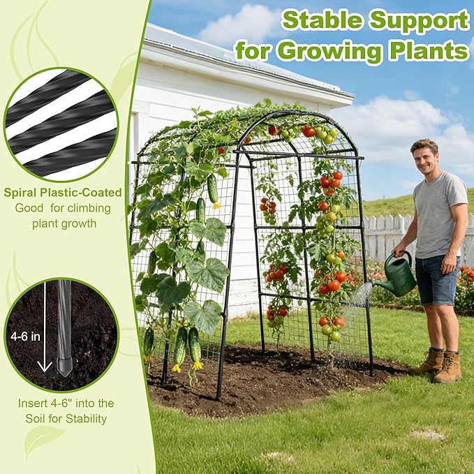 Miory Garden Arch Trellis for Climbing Plants Outdoor, Metal Plants Support Trellis for Climbing Vine Tomato Vegetable Flower Fruit, Cucumber Trellis for Raised Bed (71 x 83 Inch)