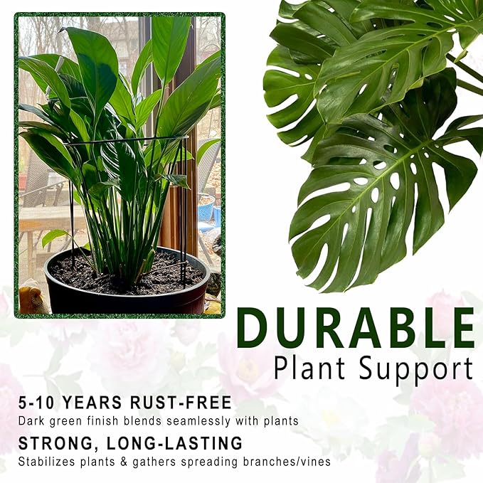 6 Pack Detachable & Assemblable Metal Plant Support Stakes - Garden Support Ring, Tomato Seedling Cage, Young Monstera/Pothos for Growing Indoor/Outdoor (10" W x 16" H)