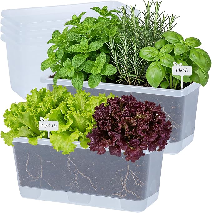 Window Box Planter 6 Packs, 13.8 Inches Rectangle Flower Pots with Drainage Holes & Trays, Pots for Vegetables, Herbs, Flowers, Garden Windowsill Balcony (Translucent White)