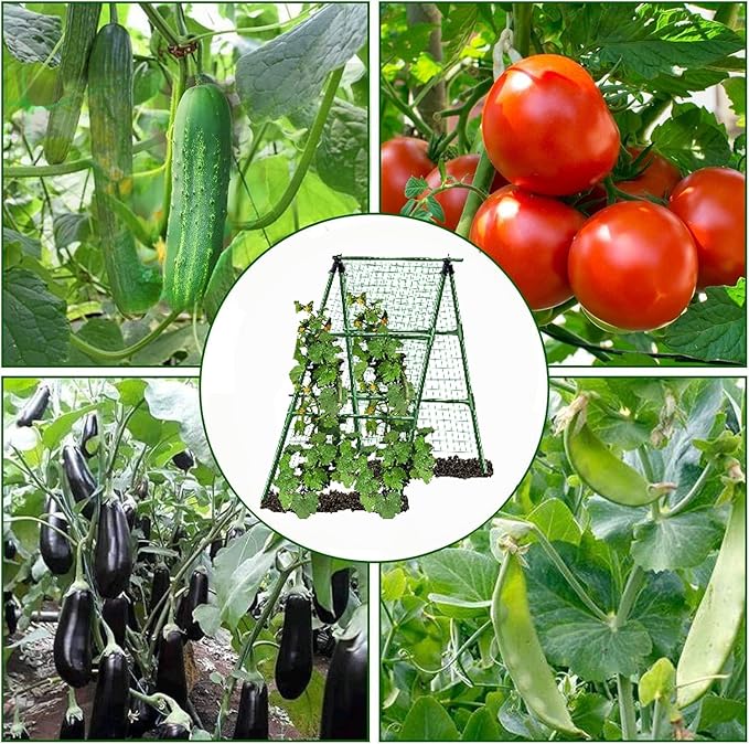 A-Frame Metal Garden Trellis Set for Raised Bed for Climbing Plants Outdoor-Detachable Cucumber Climbing Trellis with Net Clips-Garden for Cucumber Flowers Vegetables