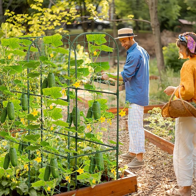 Cucumber Trellis for Raised Bed 50 x 34 Inch U-Shape Garden Trellis for Climbing Plants Outdoors Metal Garden Cucumbers Arch Trellis, Cucumber Plant Support for Tomato, Pea, Zucchini, Vine Flower