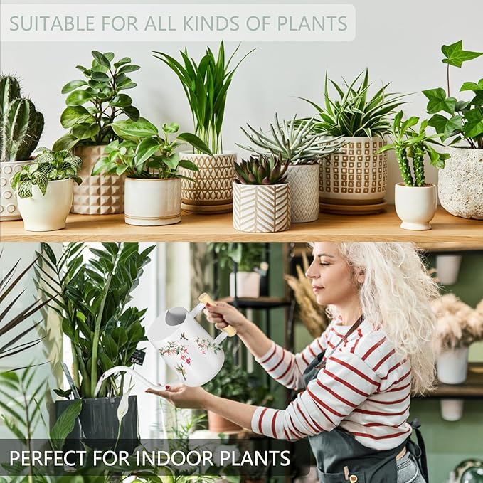 Watering Can Indoor Plants, 35oz Small Stainless Steel Metal Watering Can Modern Decorative Watering Pot with Long Spout for Indoor House Plant Bonsai Garden Flowers (White 1)