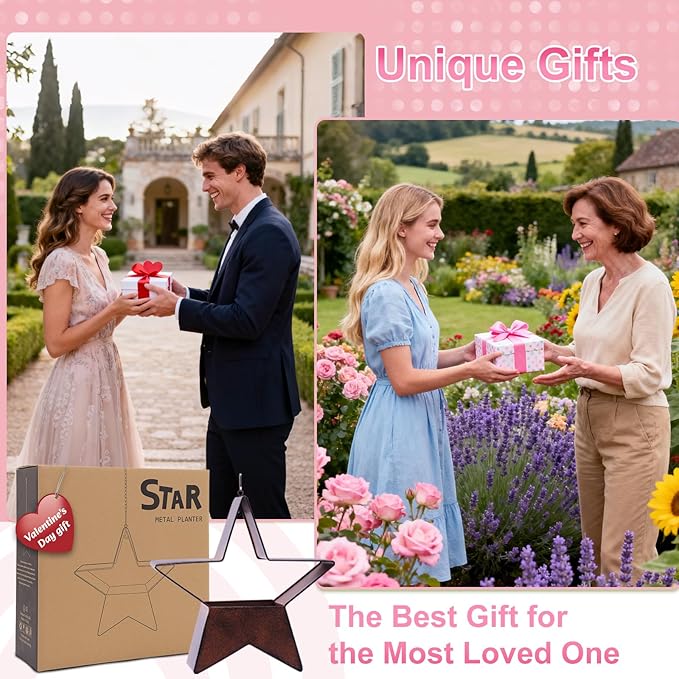 Metal Plant Hangers Indoor and Outdoor for Mom Women Her Wife Garden Lovers Birthday - Star Shape Hanging Planters for Window Wall Living Room Office Decor(Rustic)