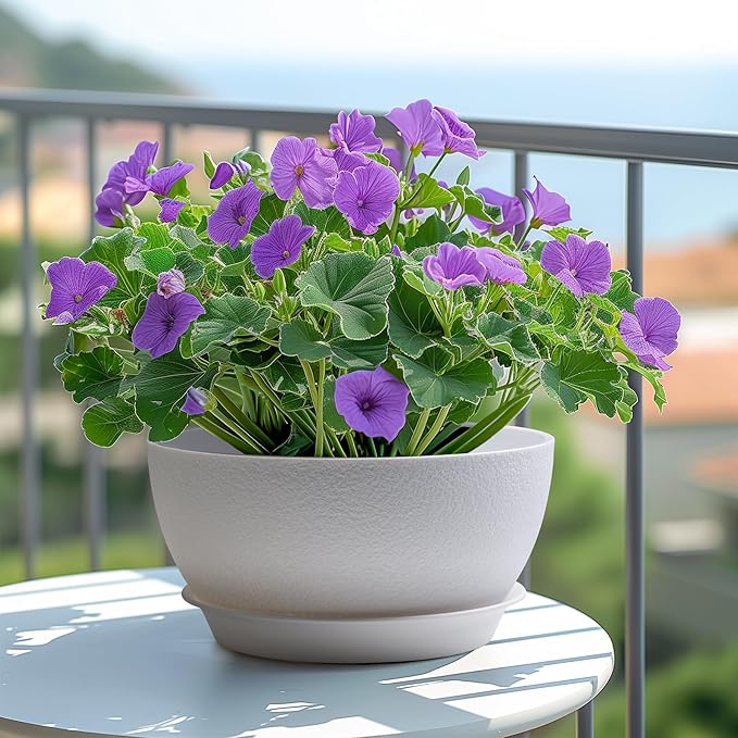T4U 8 Inch Plant Pots, Plastic Planters with Drainage Holes, Plugs, and Saucers, Ideal for Indoor and Outdoor Use - 2 Pack, White
