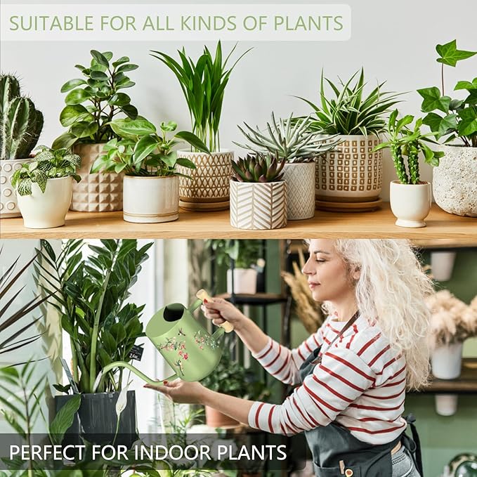 Watering Can Indoor Plants, 35oz Small Stainless Steel Metal Watering Can Modern Decorative Watering Pot with Long Spout for Indoor House Plant Bonsai Garden Flowers (Saga Green 1)