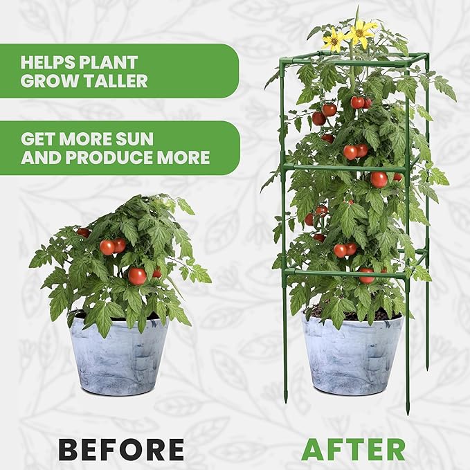 Tomato Cage Square - Large Trellis Stakes and Plant Support Structures for Vegetables and Climbing Plants - Tall Tomato Cages for Garden, Pots, Raised Garden Bed Outdoor Supplies (1 Pack - Up to 41")