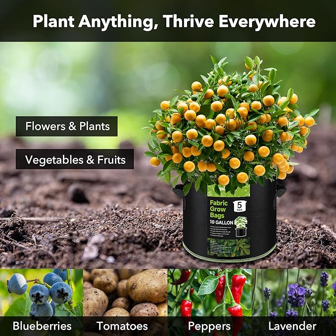 BN-LINK 5-Pack 10 Gallon Grow Bags, Heavy Duty Aeration Fabric Pots with Handles, Thickened Nonwoven Plant Bags for Vegetables, Flowers, Fruits